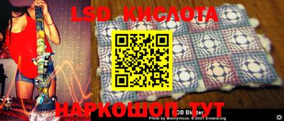 прущие грибы Краснокаменск