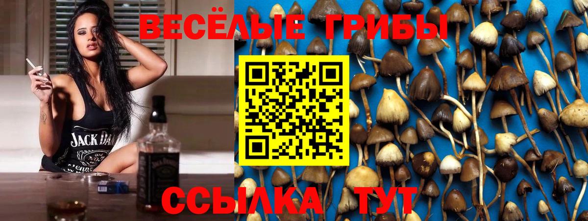 Семёнов  Галлюциногенные грибы MAGIC MUSHROOMS  Вход с VPN 
